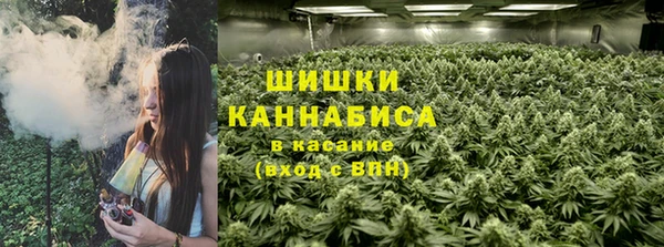 ПСИЛОЦИБИНОВЫЕ ГРИБЫ Алексеевка