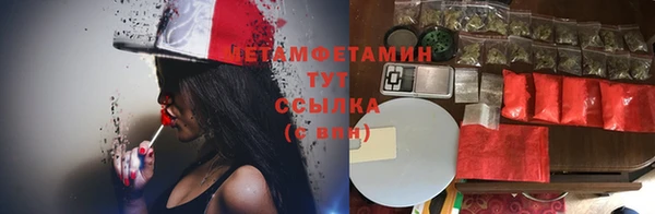 ПСИЛОЦИБИНОВЫЕ ГРИБЫ Алексеевка