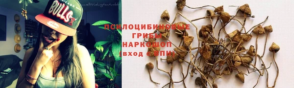 ПСИЛОЦИБИНОВЫЕ ГРИБЫ Алексеевка