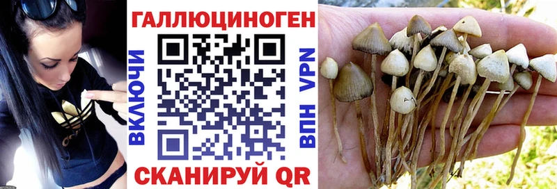 Галлюциногенные грибы мицелий Котовск