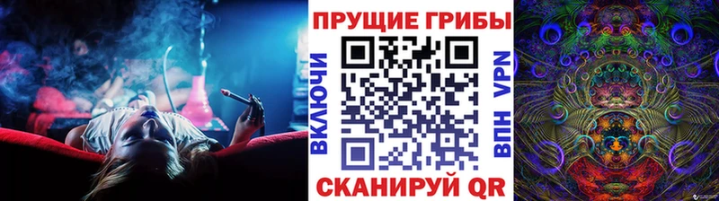 где купить наркоту Котовск Псилоцибиновые грибы Psilocybe