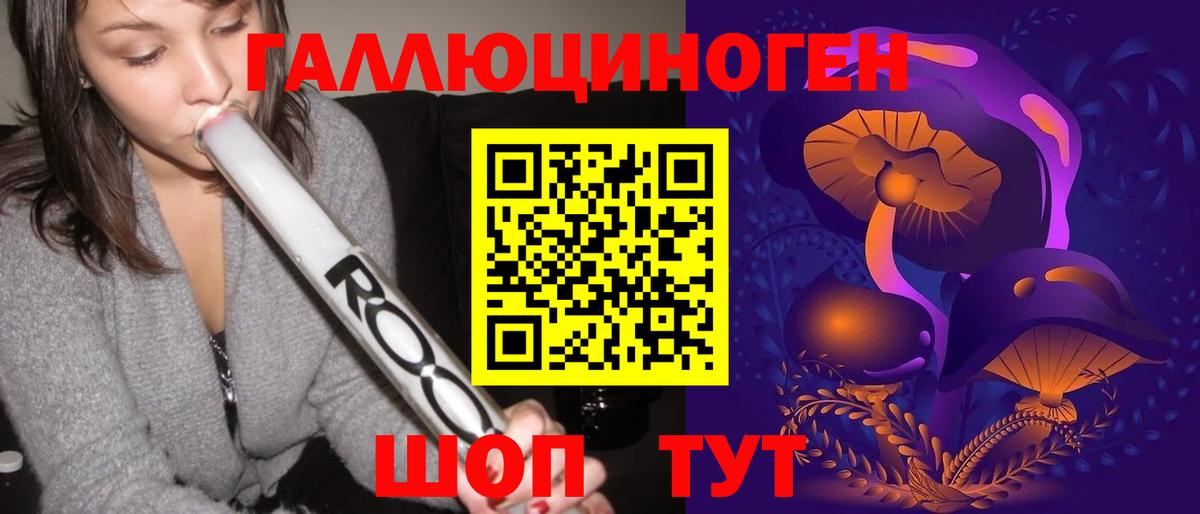 Псилоцибиновые грибы Psilocybe Котовск