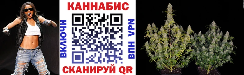 Конопля план  наркошоп  Котовск 